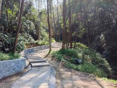 -黄埔油麻山森林公园
