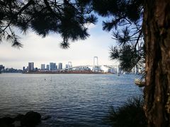 -台场海滨公园船码头