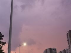 -宝安西湾红树林湿地公园