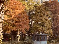 -四海公园(南山区)