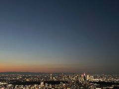 -六本木新城展望台(东京城市景观)