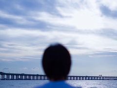 -宝安西湾红树林湿地公园