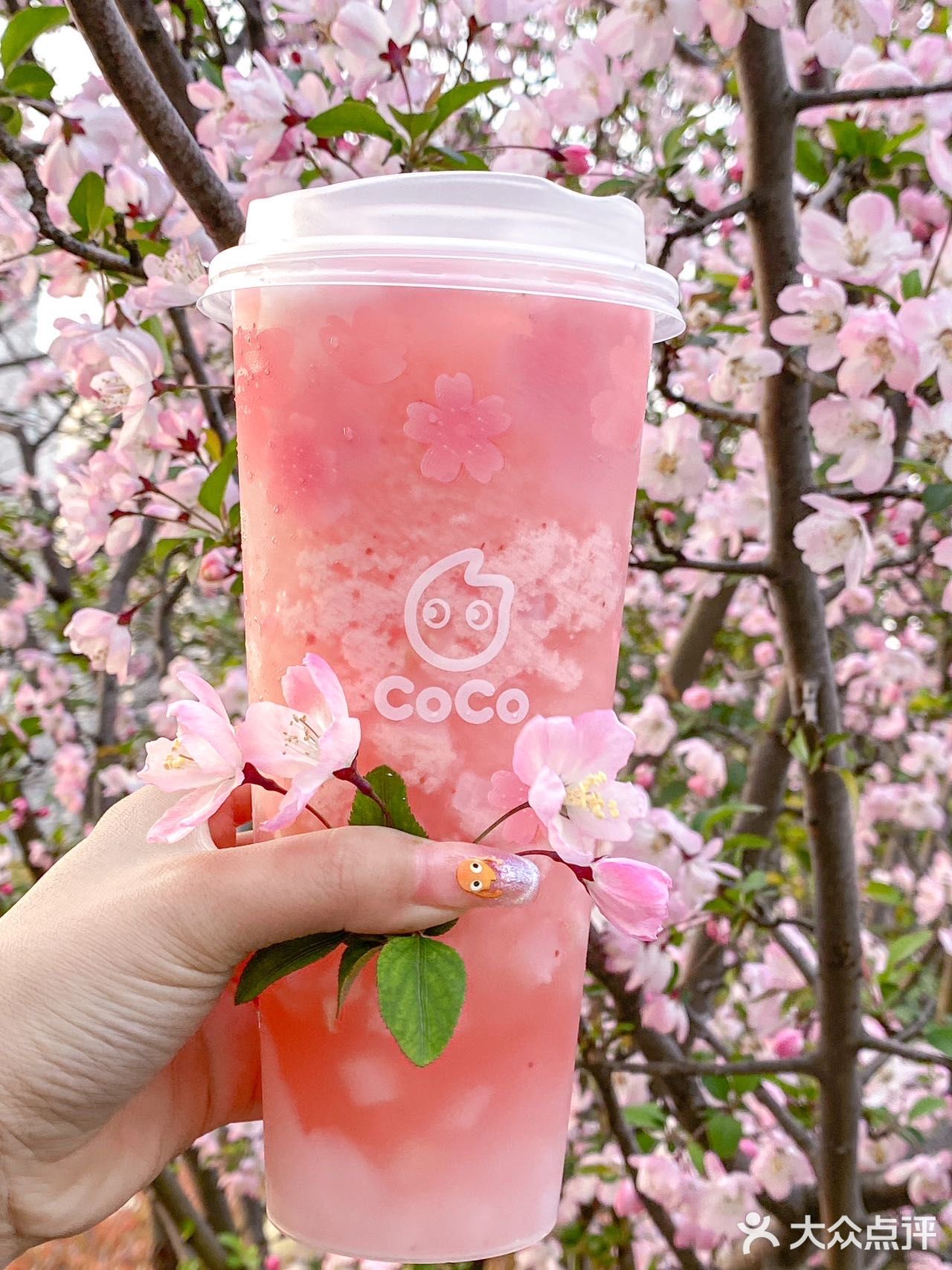 喝到了CoCo樱花🌸才算是拿下了春天啊啊啊