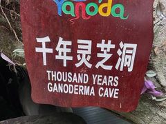 -呀诺达热带雨林