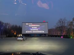 -枫花园汽车电影院(朝阳公园店)