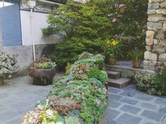 -寂照庵