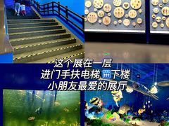 -中国（海南）南海博物馆