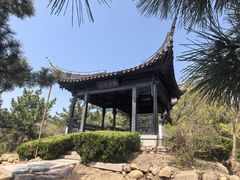 -石老人观光园