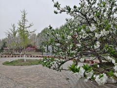 -太阳宫公园