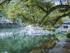 -鹿亭中村