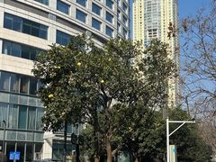 -宁波香格里拉大酒店