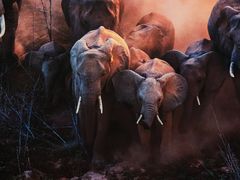 -罗红摄影艺术馆