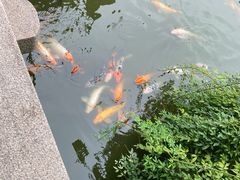 -檀园