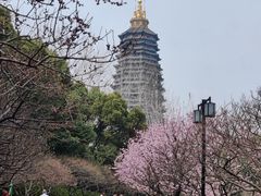 -红梅公园