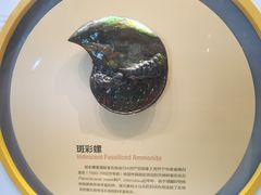 -湖南省地质博物馆