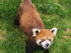 -栾川竹海野生动物园