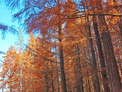 -云龙湖旅游景区