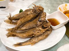 -光明邨大酒家(淮海路店)