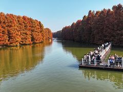 -上海海湾国家森林公园