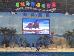 -泉城欧乐堡海洋极地世界
