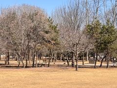 -廊坊市自然公园