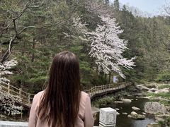 -洛阳白云山景区