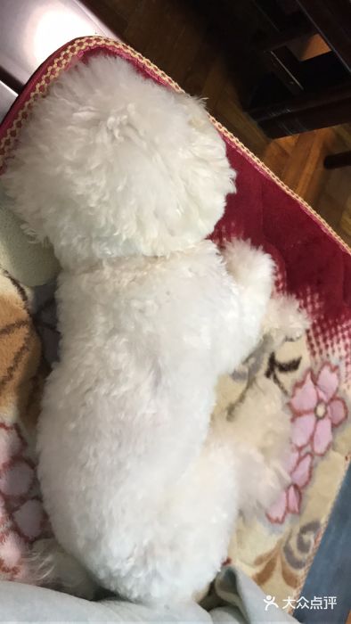 严国平动物医院(德政总院)图片