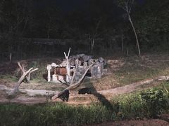 -清迈夜间动物园