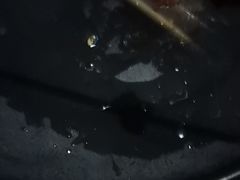 -令狐冲·炭烤活鱼(宝龙店)