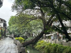 -三坊七巷历史文化街区