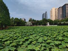 -黄兴公园