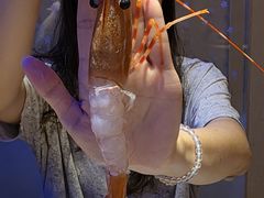 -琴寿司居酒屋(中山广场店)
