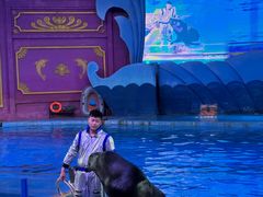 -横店影视城梦幻谷园区