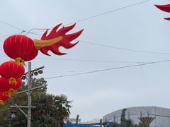-上海海昌海洋公园