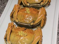 -南京大牌档(龙湖长楹天街店)