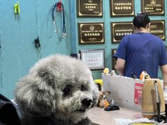 -严国平动物医院(德政总院)