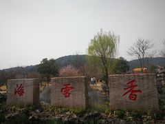 -香雪海