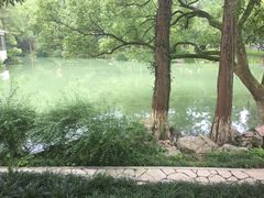 -杭州花家山庄