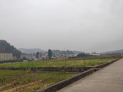 -四川农业大学(雅安校区)