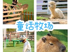 -盈香心动乐园