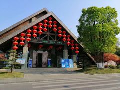 -铁山坪森林公园