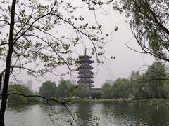 -洋湖国家湿地公园