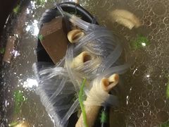 -百年尹氏汤包(湖南路狮子桥店)