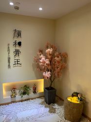 -颜和骨正·明哲式骨相美学整骨