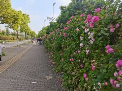 -石湖景区