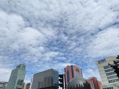-港汇恒隆广场
