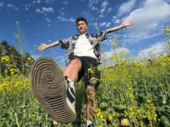 -光明小镇欢乐田园