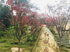 -广州市帽峰山景区