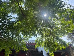 -红螺寺