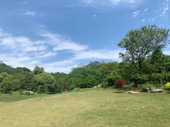 -镇江市南山风景名胜区竹林景区